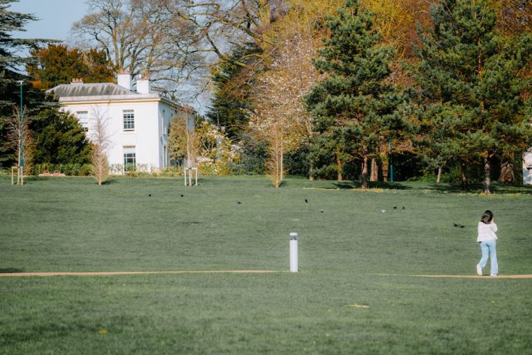 Experience the Thrill of Fantasy Cricket Like Never Before with Mila Arena!